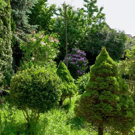 Malwa Διαμέρισμα Σόποτ