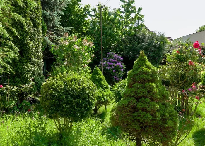 马尔瓦公寓 公寓 索波特